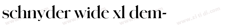 schnyder wide xl dem字体转换